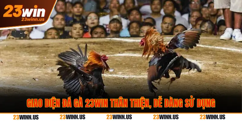 Trực Tiếp Đá Gà Thomo Hôm Nay 23Win: Link Full HD Mượt 1 Đường truyền trực tiếp đá gà 23Win