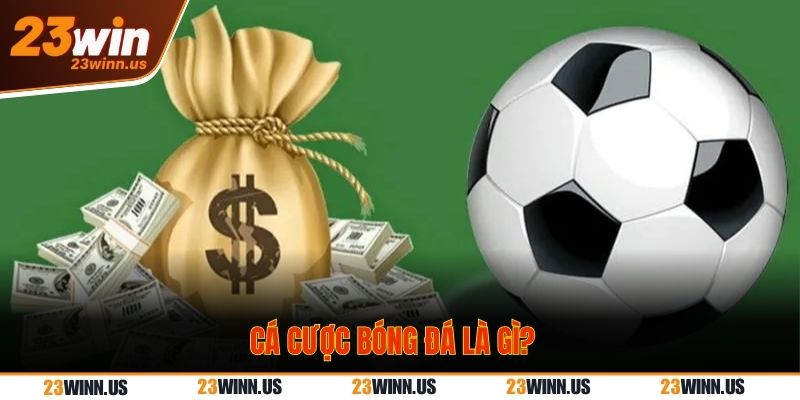 Cá cược bóng đá giải trí hấp dẫn trúng tiền cực lớn Cá cược bóng đá trực tuyến