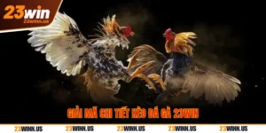 Giải Mã Chi Tiết Kèo Đá Gà Meron, Wala, BDD Tại 23Win 5 Giải mã kèo đá gà 23Win