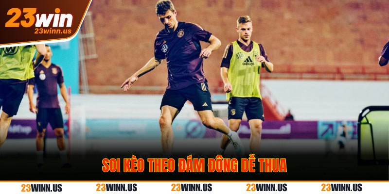 5 sai lầm soi kèo tại 23win khiến 90% tân thủ “trắng tay” 2 Soi kèo theo ý kiến đám đông dễ thua